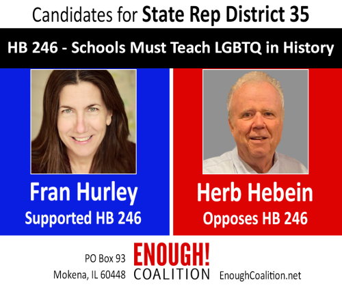 35th-State-Rep-HB-246-comparison